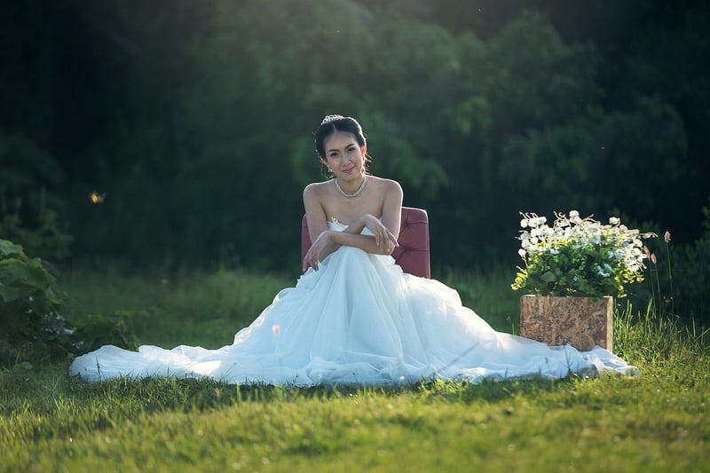 Stardust Gown Image